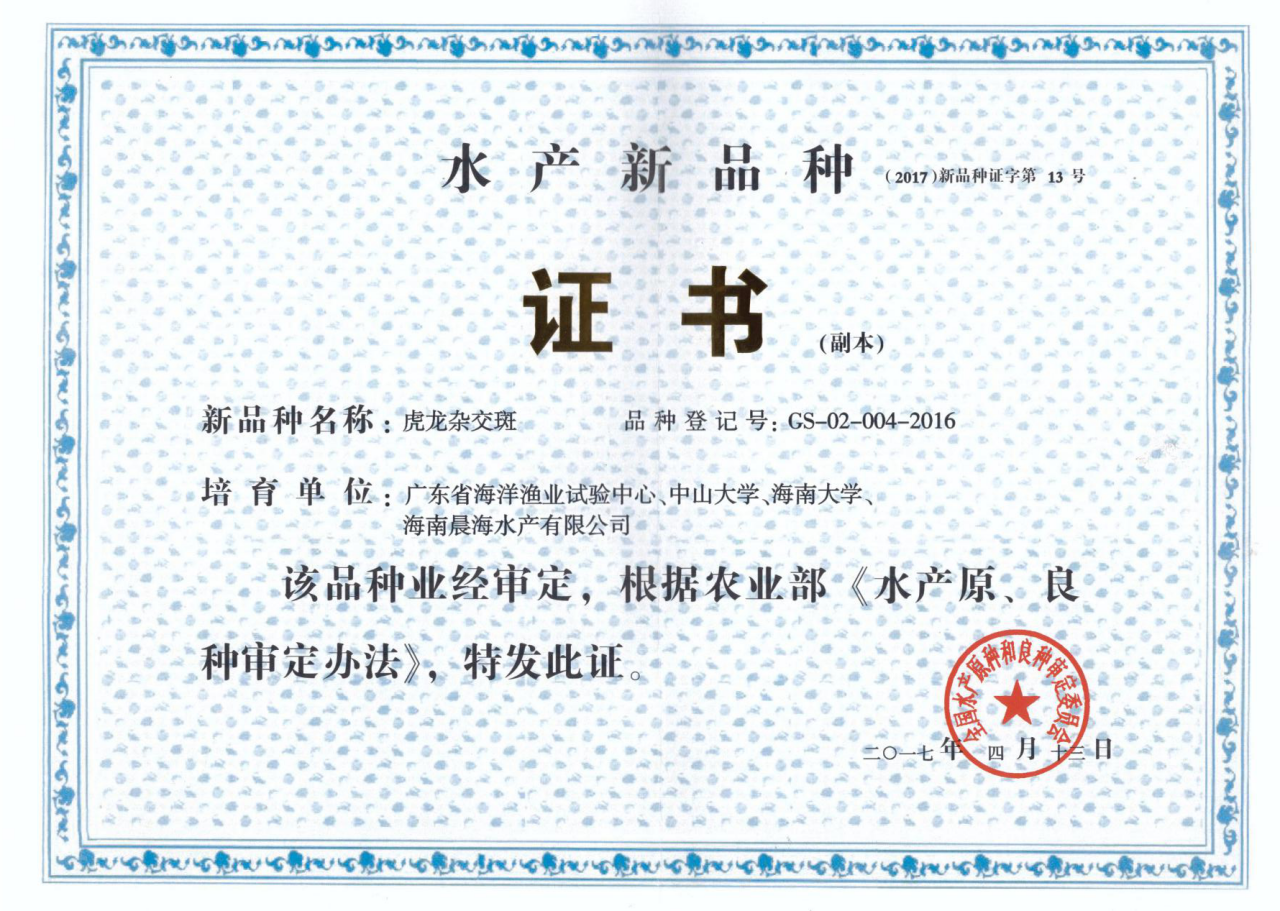 厲害了，我的“虎龍雜交斑”