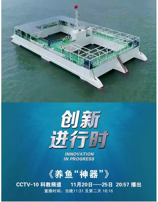 風(fēng)再猛、浪再大，都攔不住我養(yǎng)魚(yú)的雄心！